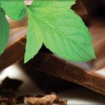 Mint Chocolate Crisp Gelato