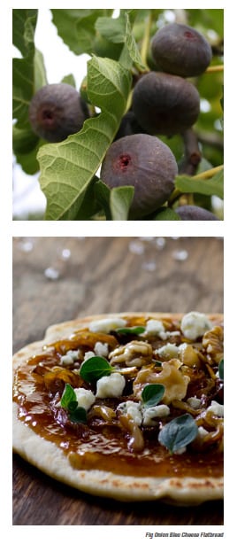 Figs and Fig Pizza